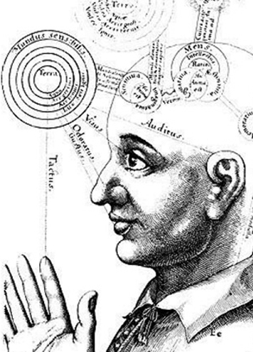 Polysensorial purchases